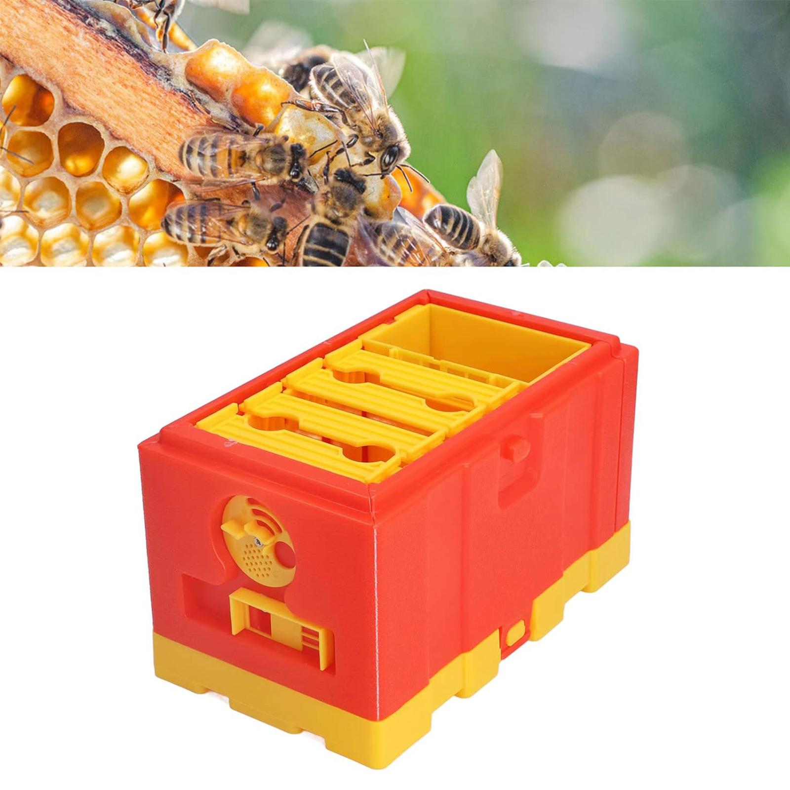 Professional Breeding Box Bees Mating Box Beekeeping Equipment Plastic Texture Beequeen Rearing Box Breeding Equipment синій
Professional Breeding Box Bees Mating Box Beekeeping Equipment Plastic Texture Beequeen Rearing Box Breeding Equipment синій
