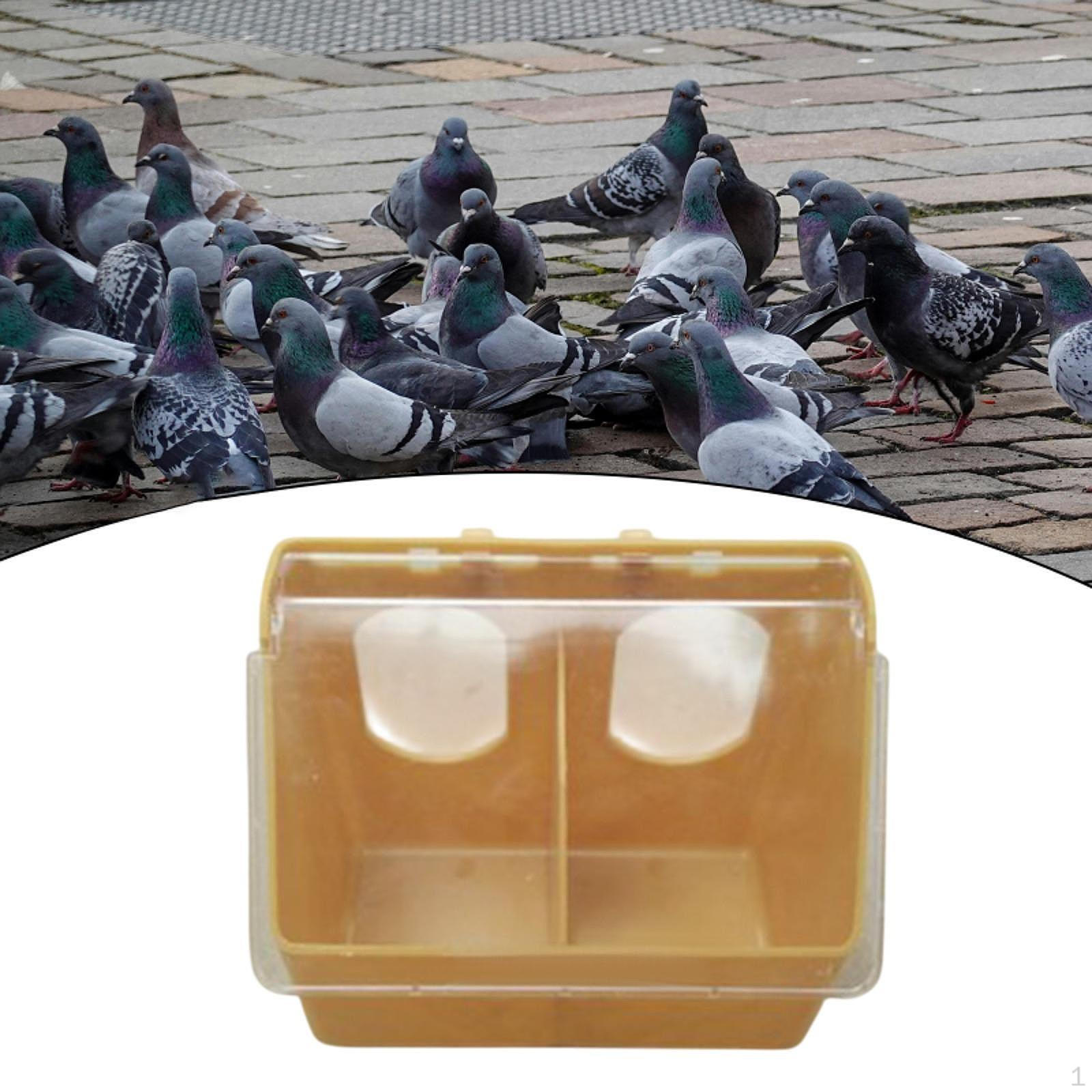 Кормушка для птиц Голубь Подвесной Контейнер для корма для попугая для кореллы
Кормушка для птиц Голубь Подвесной Контейнер для корма для попугая для кореллы