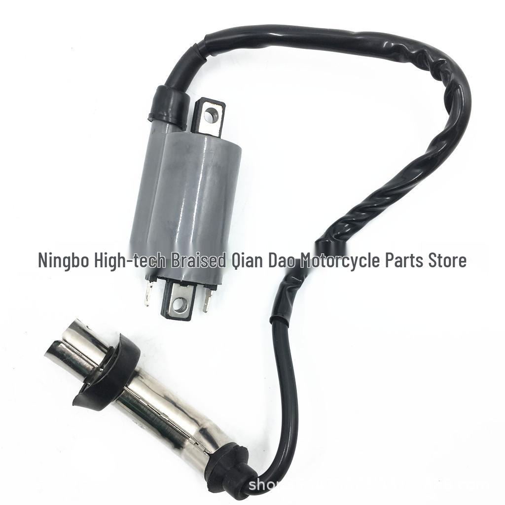 Ignition Coil for 260CC/300CC High-Voltage ATV 2 Cylinders
Ignition Coil for 260CC/300CC High-Voltage ATV 2 Cylinders