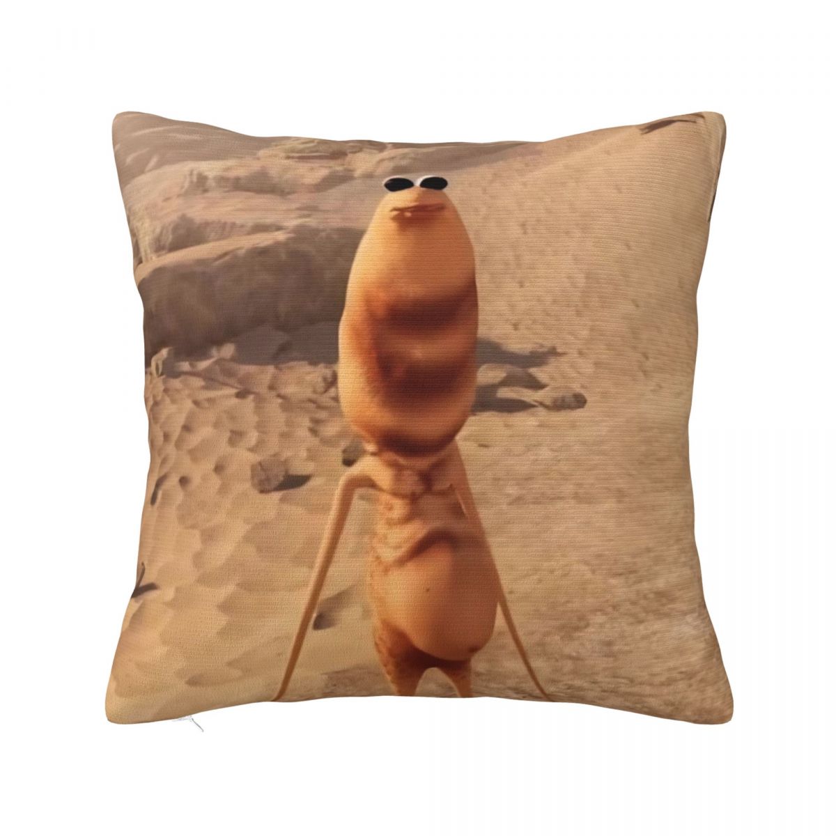 Marcus The Worm Meme Pillow Case I Dont Like This Rock Cushion Covers Funny Polyester Decor Pillowcase for Seat 40*40cm 60cm x 60cm
Marcus The Worm Meme Pillow Case I Dont Like This Rock Cushion Covers Funny Polyester Decor Pillowcase for Seat 40*40cm 60cm x 60cm