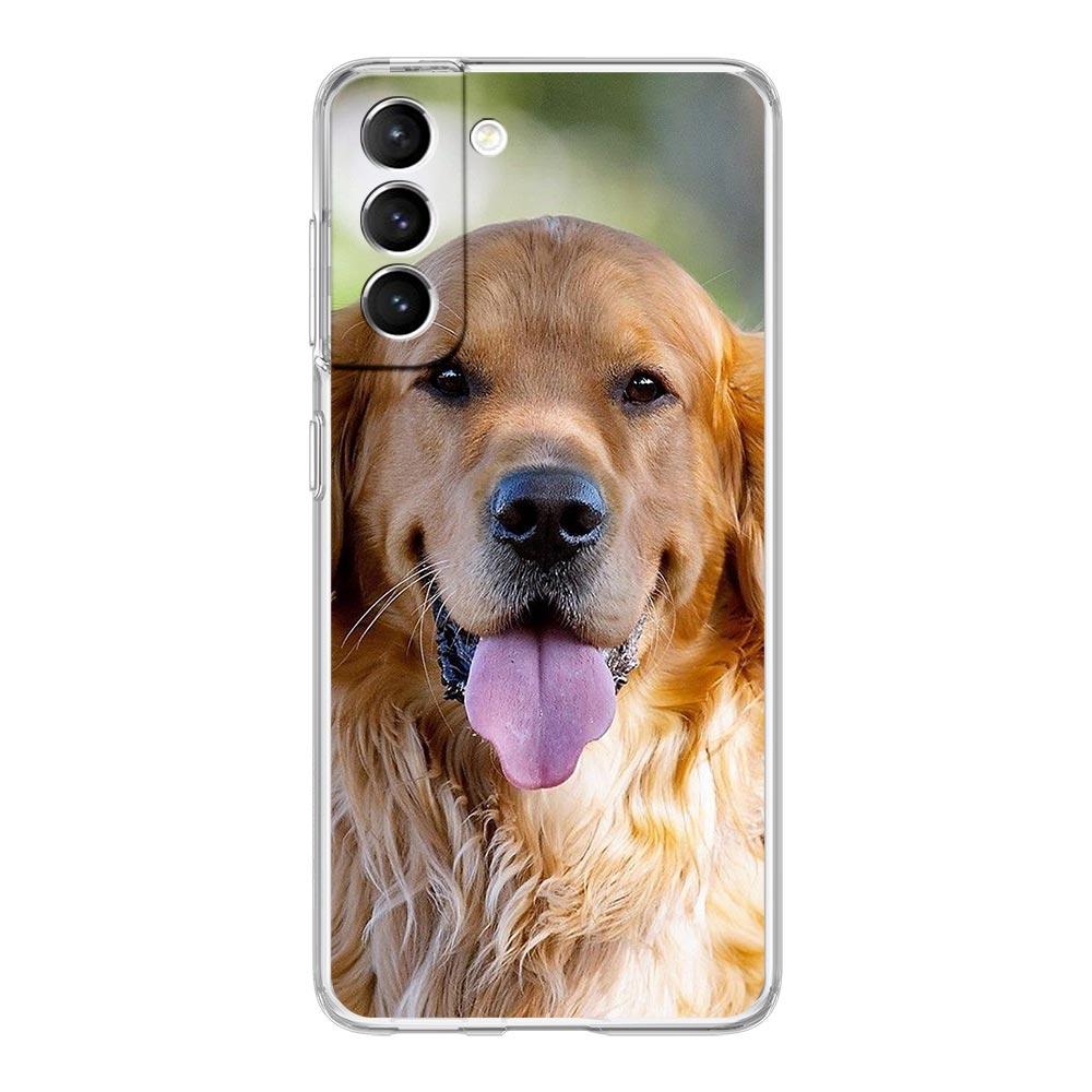 Clear Phone Case For Samsung Galaxy S24 Plus S23 FE S22 S21 S20 Ultra 5G S10 S10E S9 S8 Soft Cover Labrador Golden Retriever dog Samsung S8
Clear Phone Case For Samsung Galaxy S24 Plus S23 FE S22 S21 S20 Ultra 5G S10 S10E S9 S8 Soft Cover Labrador Golden Retriever dog Samsung S8