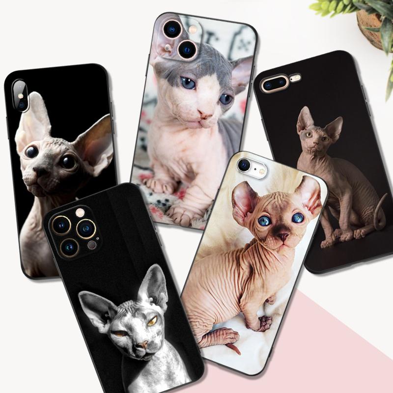 Черный чехол из ТПУ для iPhone 5 5s se 2020 6 6s 7 8 plus x 10 XR XS 11 12 13 mini pro MAX задняя крышка с изображением кошки-сфинкса iphone se 2020
Черный чехол из ТПУ для iPhone 5 5s se 2020 6 6s 7 8 plus x 10 XR XS 11 12 13 mini pro MAX задняя крышка с изображением кошки-сфинкса iphone se 2020