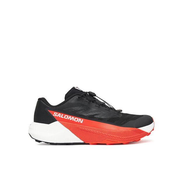 Беговые кроссовки Salomon Pulsar EU 41_1_3
Беговые кроссовки Salomon Pulsar EU 41_1_3