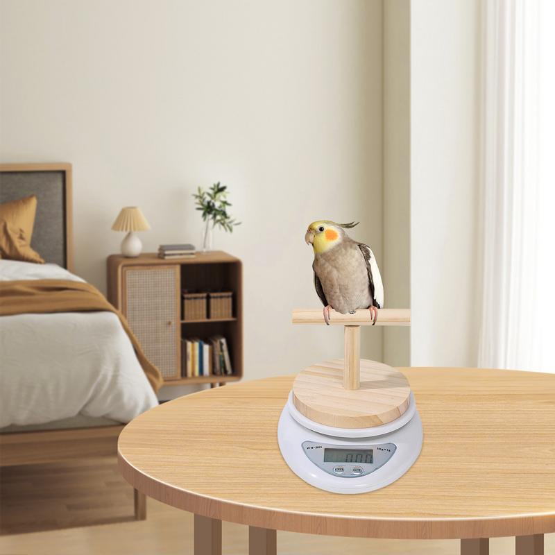 Parrot Scale Small Animal Scale With Perch For Pet Bird Convenient Weight Changing Monitoring Tool For Medication Milk Powder China Mainland
Parrot Scale Small Animal Scale With Perch For Pet Bird Convenient Weight Changing Monitoring Tool For Medication Milk Powder China Mainland