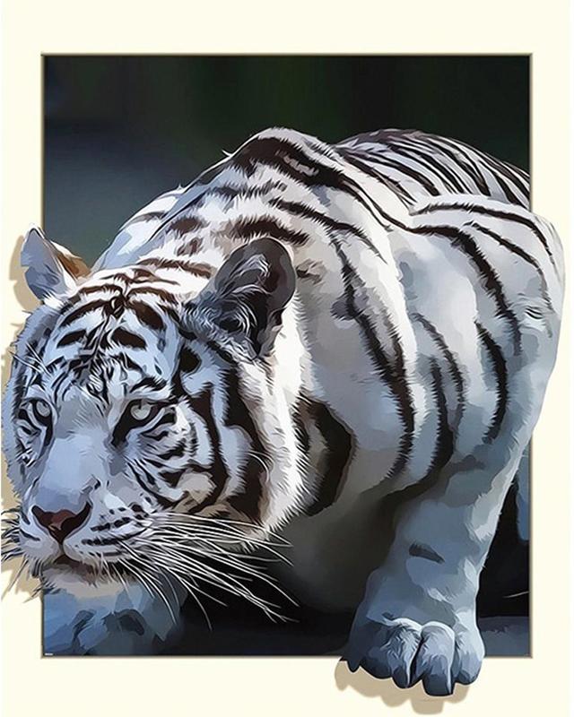 Повний квадратний/круглий алмазний живопис Тигр, пейзаж, стрази, алмазна вишивка, вишивка хрестом, тварини, алмазна мозаїка, прикраса Full Square 30X40CM слонова кістка
Повний квадратний/круглий алмазний живопис Тигр, пейзаж, стрази, алмазна вишивка, вишивка хрестом, тварини, алмазна мозаїка, прикраса Full Square 30X40CM слонова кістка