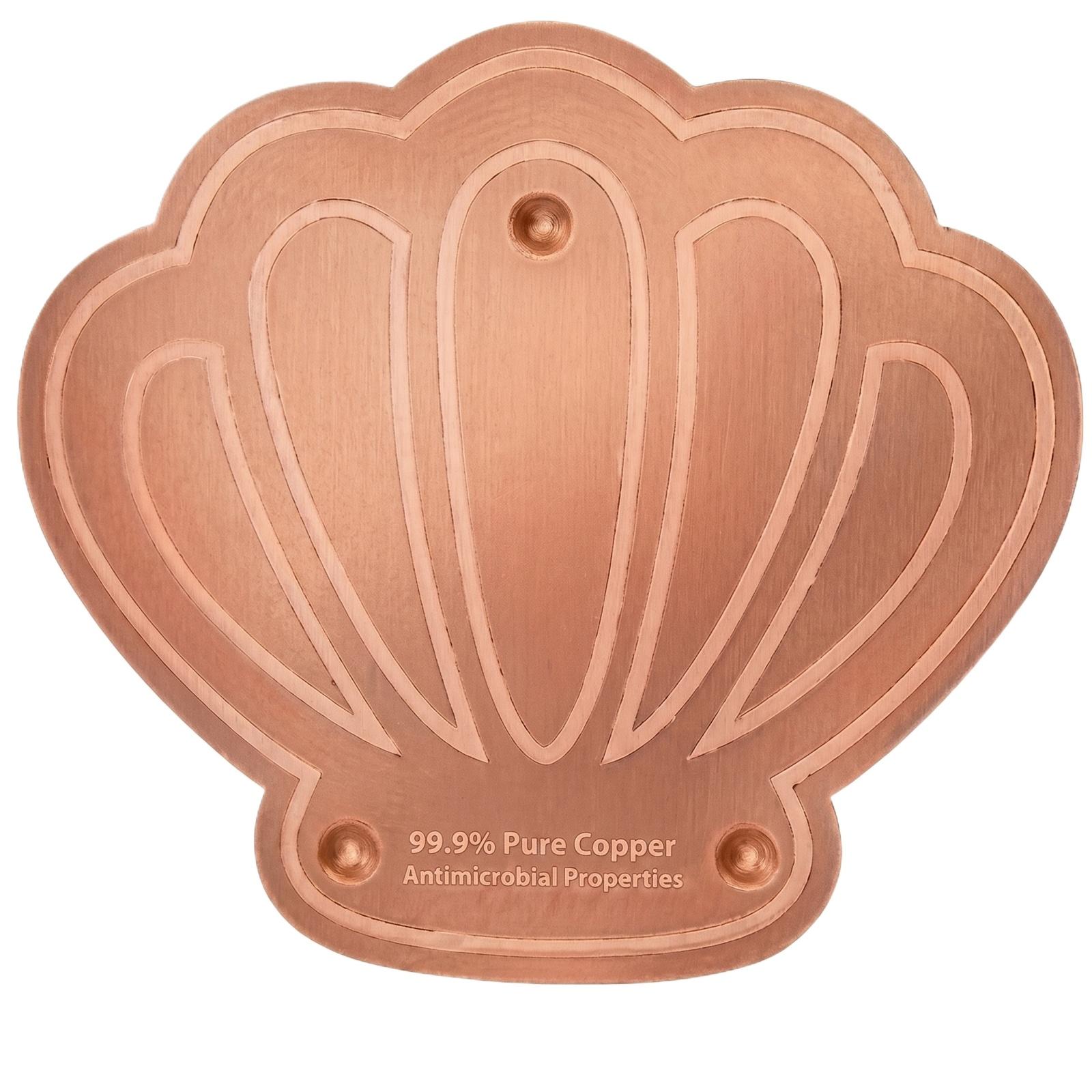 Copper Disk Bird Bath Water Cleaner 2mm Thick Reinforced Copper Round Plate for Garden Water Visitors Outdoor Bird Bath Accessory One Size
Copper Disk Bird Bath Water Cleaner 2mm Thick Reinforced Copper Round Plate for Garden Water Visitors Outdoor Bird Bath Accessory One Size