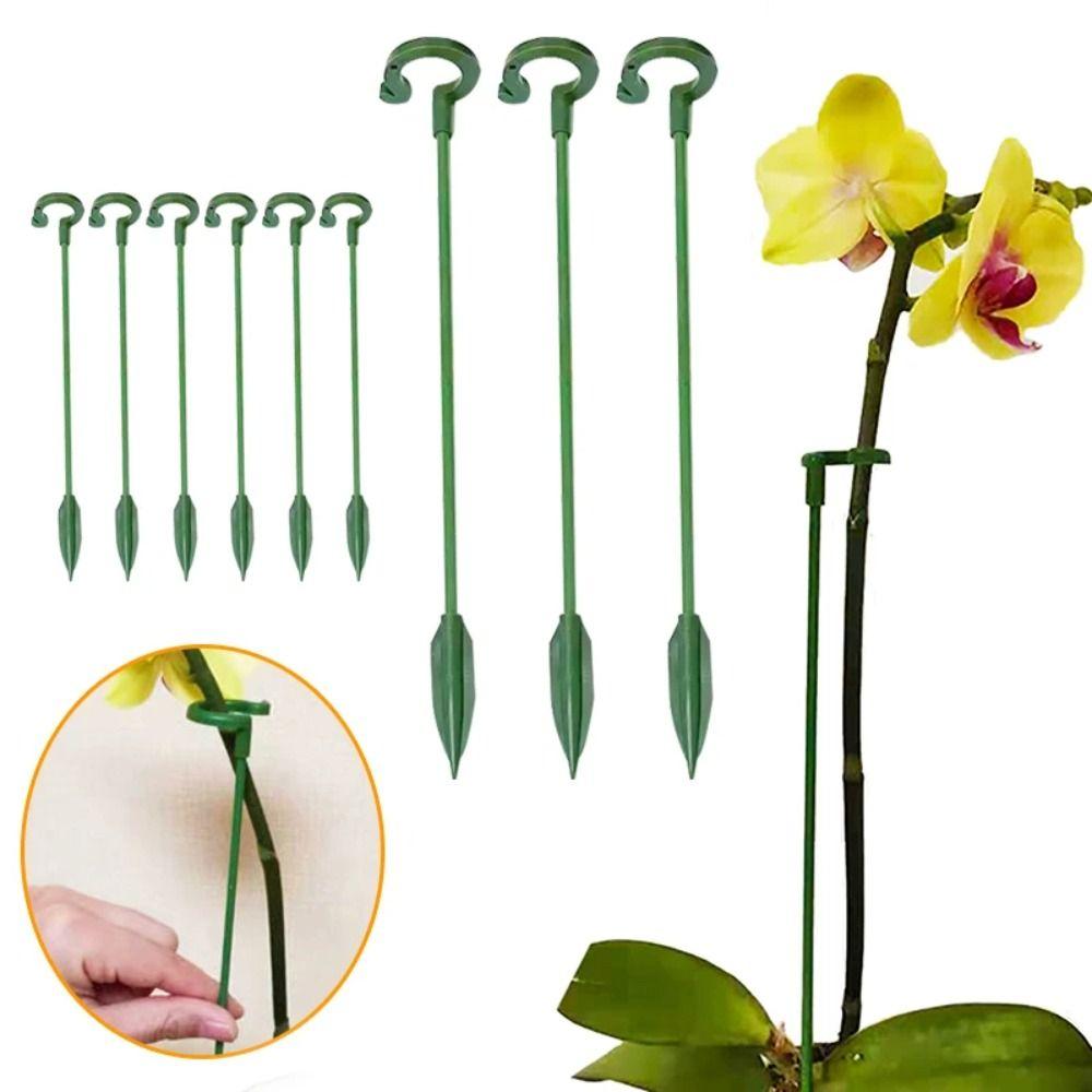 10PCS Anti Lodging Butterflies Orchid Potted Fixing Rods Flower Holder Pole For Indoor Outdoor 27CM
10PCS Anti Lodging Butterflies Orchid Potted Fixing Rods Flower Holder Pole For Indoor Outdoor 27CM