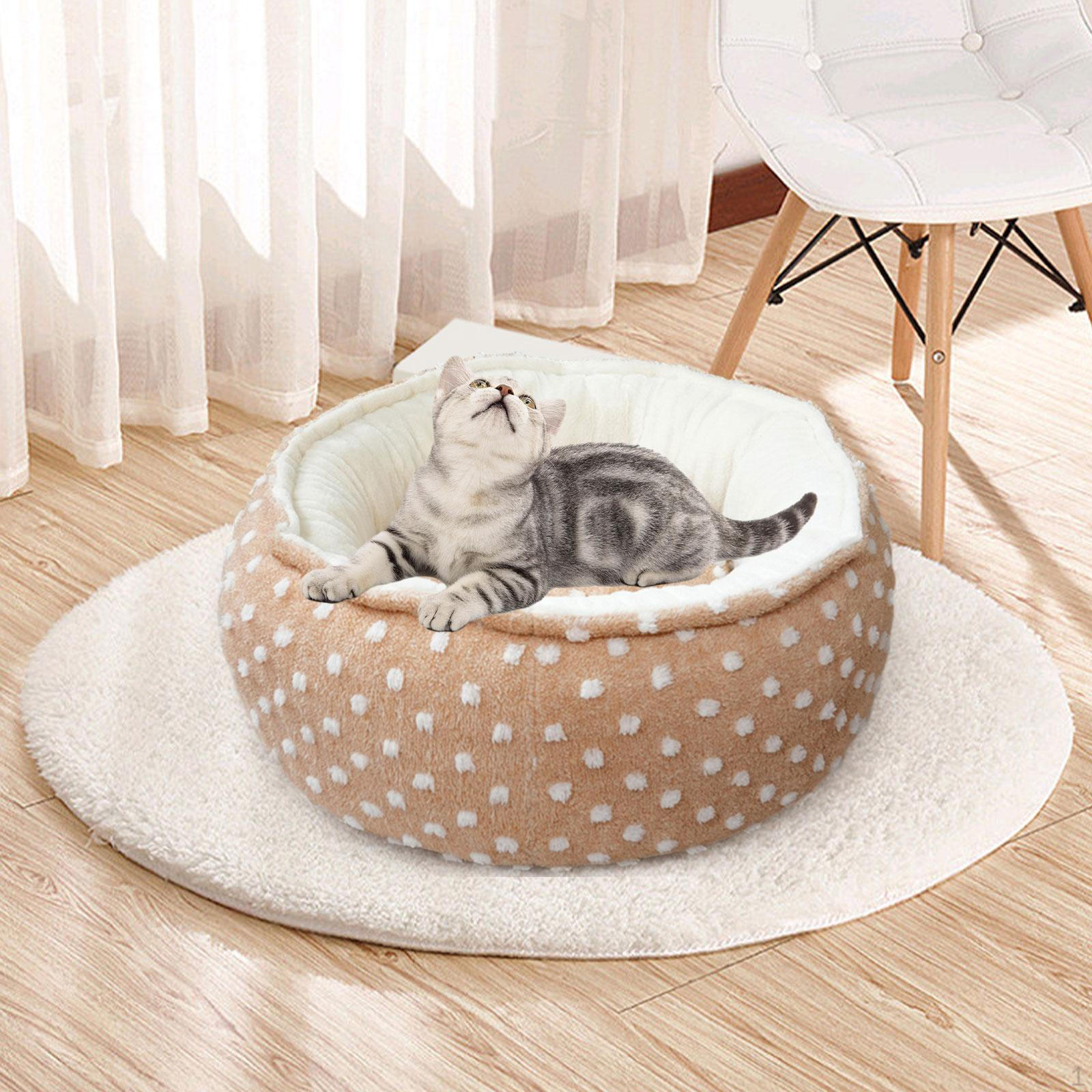 Кровать для кошек плюшевая круглая моющаяся для домашних животных осень-зима для помещений самонагревающаяся уютная для сна кофейный
Кровать для кошек плюшевая круглая моющаяся для домашних животных осень-зима для помещений самонагревающаяся уютная для сна кофейный