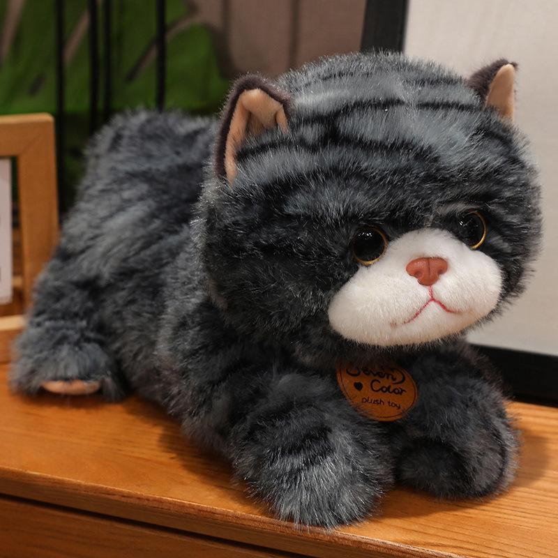 Имитация оранжевого кота, плюшевая игрушка для кошек, обнимающая спящего питомца, игрушки для кошек, детская кровать, обнимающая спящих котят 25cm
Имитация оранжевого кота, плюшевая игрушка для кошек, обнимающая спящего питомца, игрушки для кошек, детская кровать, обнимающая спящих котят 25cm