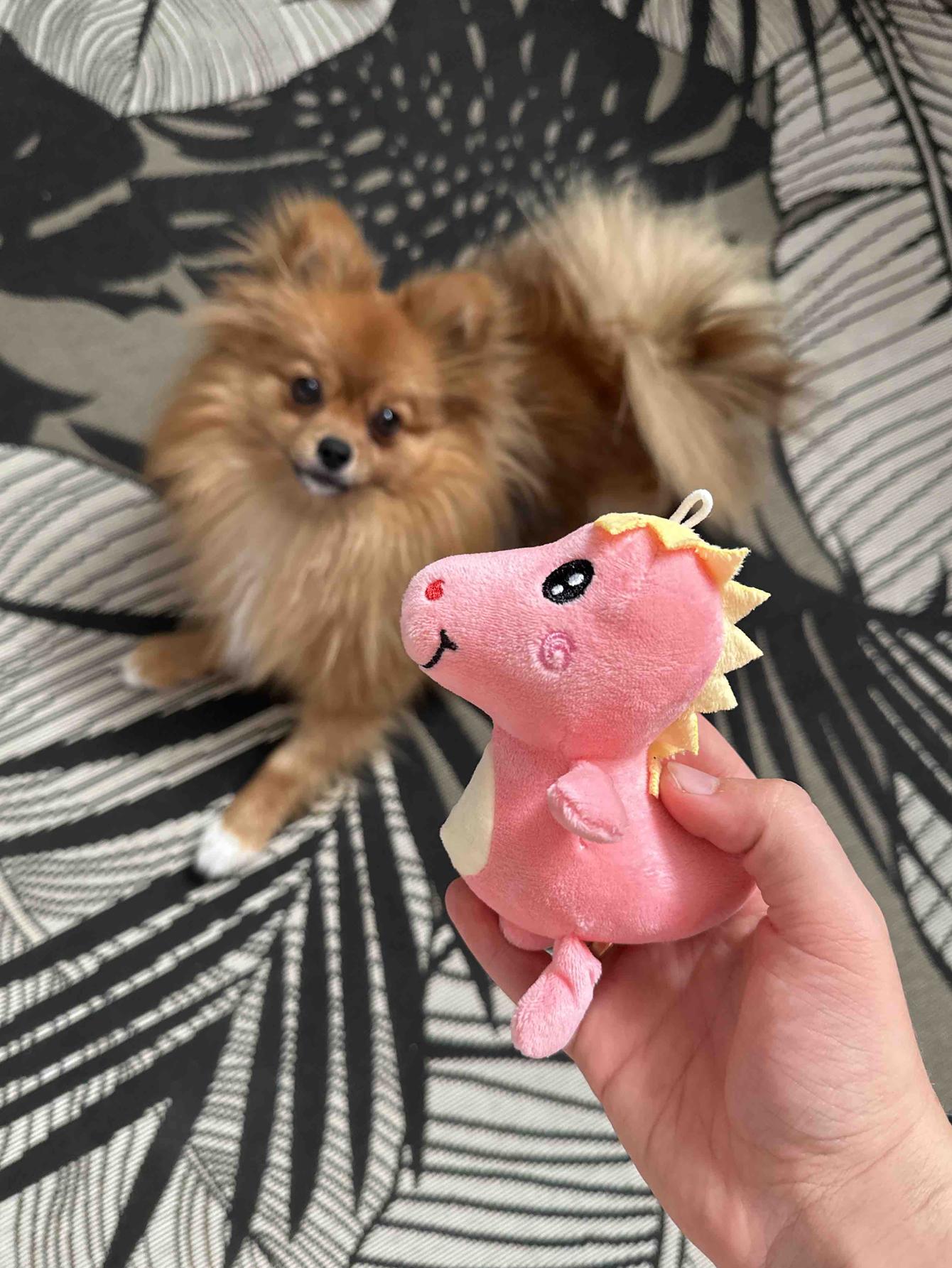 1 mini cute cartoon dinosaur shaped pet plush toy, durable and highly interactive синій
1 mini cute cartoon dinosaur shaped pet plush toy, durable and highly interactive синій