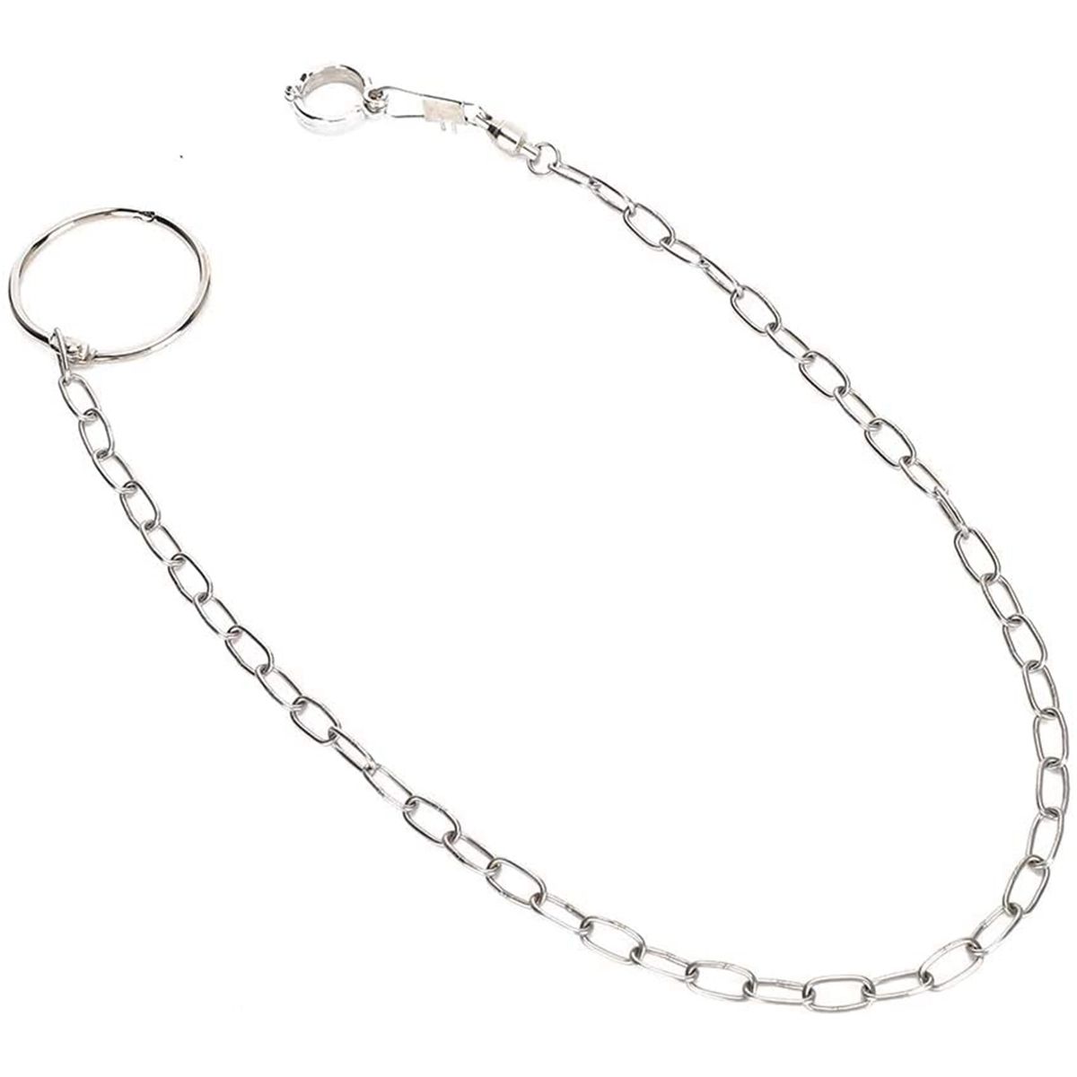 Budgerigar Flying Training Split Stainless Steel Leash Parrot Leg Ring Bird Foot Chain Harness 6.5mm
Budgerigar Flying Training Split Stainless Steel Leash Parrot Leg Ring Bird Foot Chain Harness 6.5mm