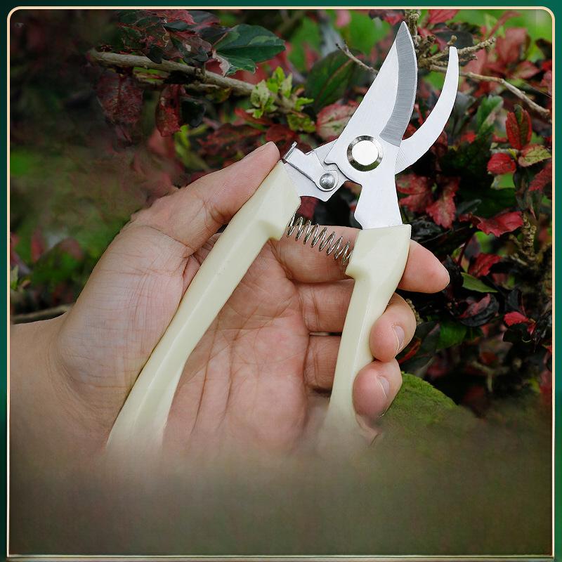 Garden Pruning Scissors: Multi-purpose Tool for Fruit Picking, Branch Cutting, and Flower Care
Garden Pruning Scissors: Multi-purpose Tool for Fruit Picking, Branch Cutting, and Flower Care