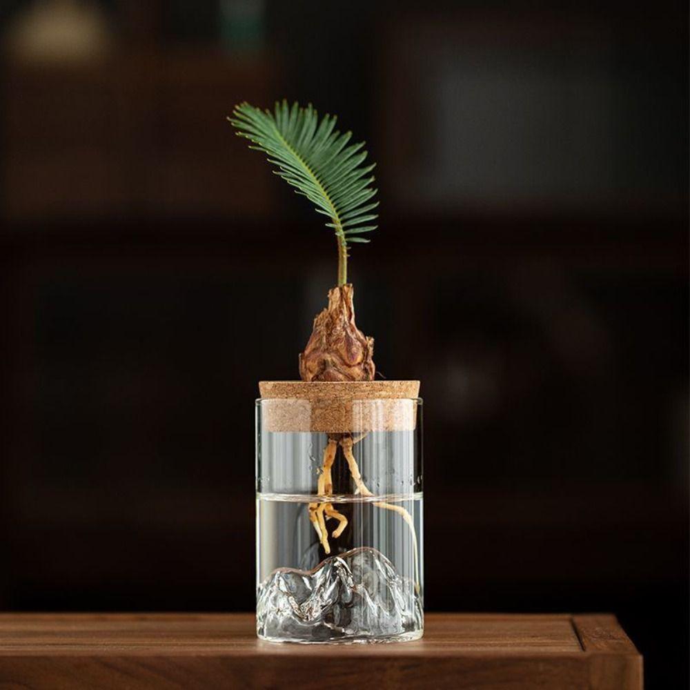 Thickened Flower Vase Transparent Flower Pot Micro Landscape Bonsai Hydroponic Flower Holder Gift S прозорий
Thickened Flower Vase Transparent Flower Pot Micro Landscape Bonsai Hydroponic Flower Holder Gift S прозорий
