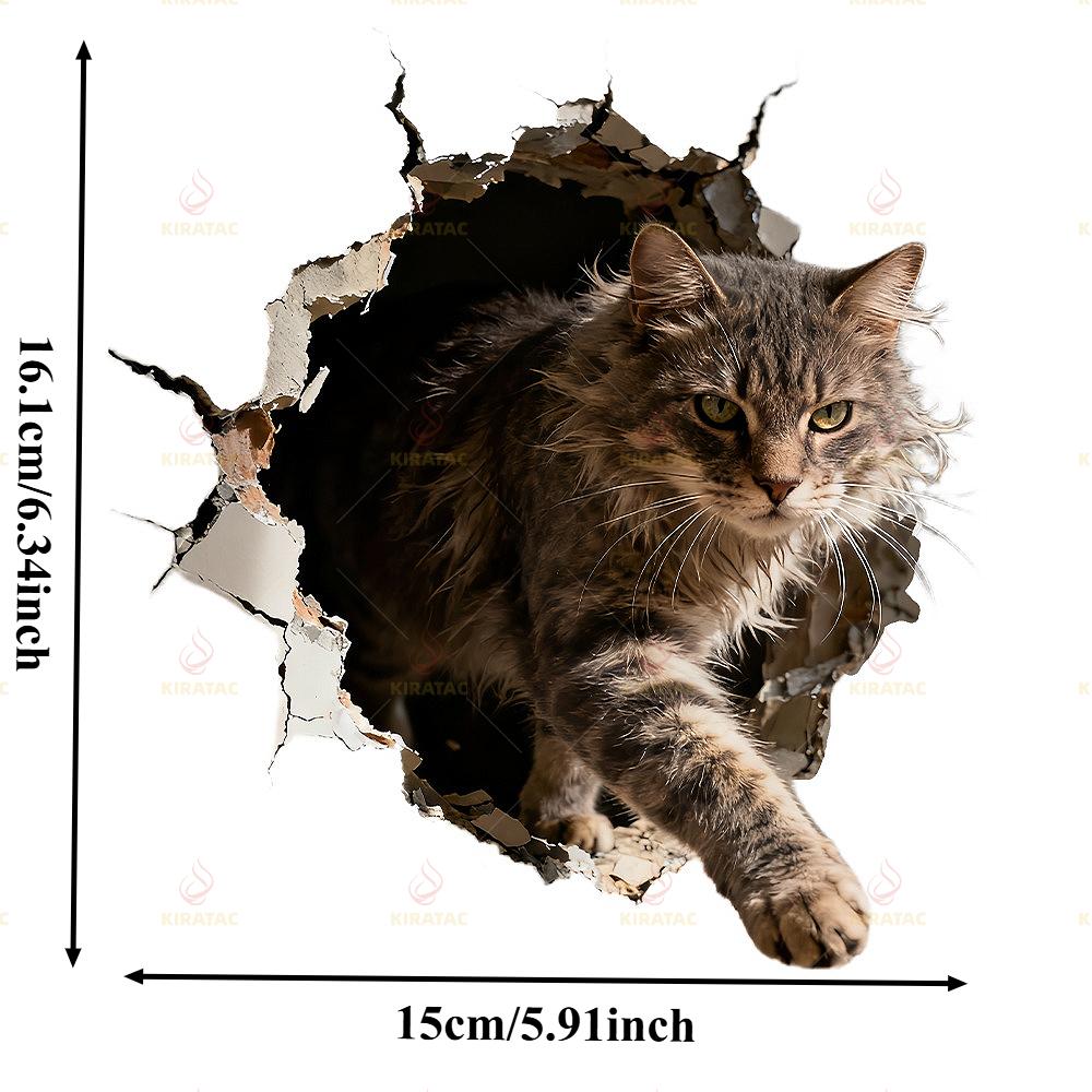1pc Wall-climbing Cat Car Sticker for Auto Windows Trunks Body Motocycle Windshield Fairing Helmet Fuel Tank Scooter Vinyl Decal 15X16.1CM
1pc Wall-climbing Cat Car Sticker for Auto Windows Trunks Body Motocycle Windshield Fairing Helmet Fuel Tank Scooter Vinyl Decal 15X16.1CM