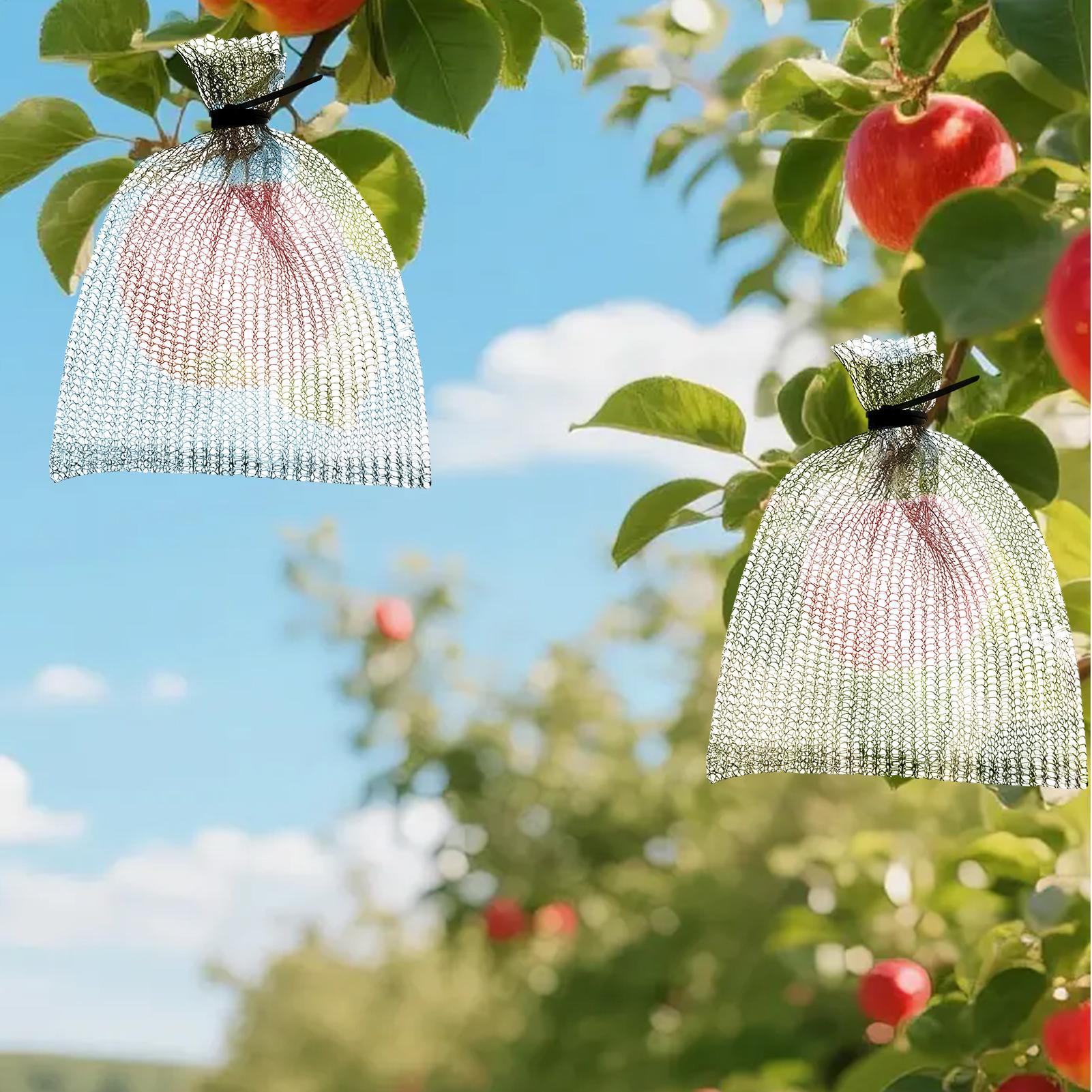 Plant Root Guard Baskets Tear-Resistant Fruit Mesh Barrier Gopherproof Stainless Wire Steel Baskets for Garden Yard Farm Tomato CN
Plant Root Guard Baskets Tear-Resistant Fruit Mesh Barrier Gopherproof Stainless Wire Steel Baskets for Garden Yard Farm Tomato CN