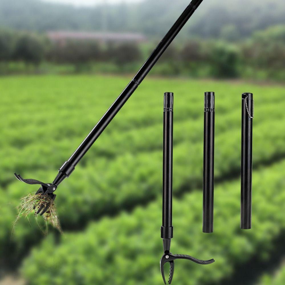 Сменный инструмент для удаления сорняков стоя с нескользящей педалью для удаления сорняков газон серебряный 
Сменный инструмент для удаления сорняков стоя с нескользящей педалью для удаления сорняков газон серебряный