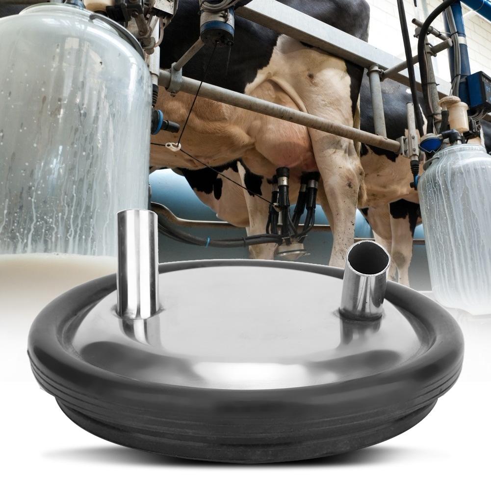 Stainless Steel Milk Bucket Lid And Gasket For Milking Machine Two Open Lid
Stainless Steel Milk Bucket Lid And Gasket For Milking Machine Two Open Lid