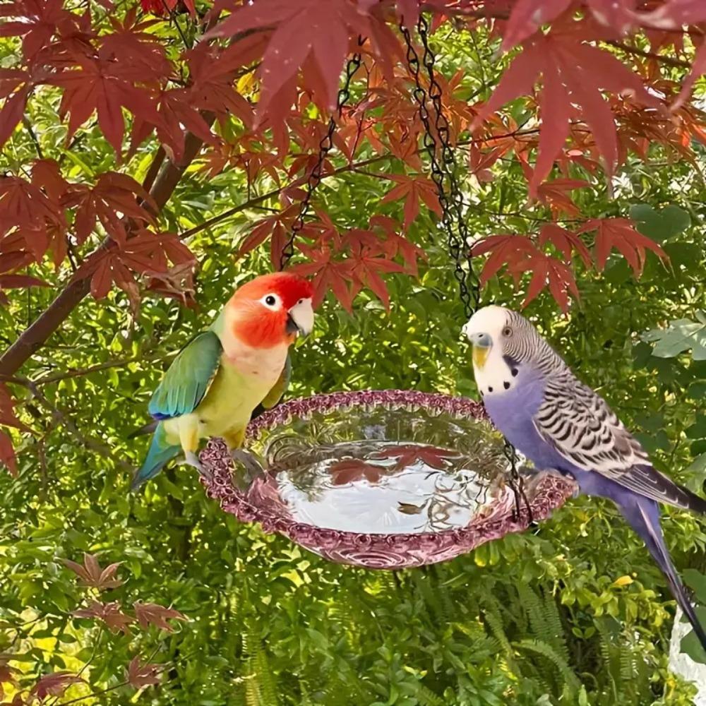 Colorful Hummingbird Feeder Supplies Flower Shaped Bird Bathtub Hanging Bird Feeder Nature Lovers
Colorful Hummingbird Feeder Supplies Flower Shaped Bird Bathtub Hanging Bird Feeder Nature Lovers