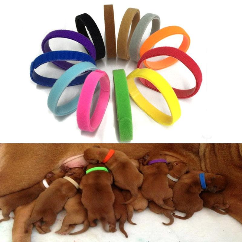 12pcs/Set Puppy Collars Adjustable Nylon Newborn Pet Color Collar Small Pet Dog Collars Cats Necklace Marker Rope Pet Supplies S різнокольоровий
12pcs/Set Puppy Collars Adjustable Nylon Newborn Pet Color Collar Small Pet Dog Collars Cats Necklace Marker Rope Pet Supplies S різнокольоровий