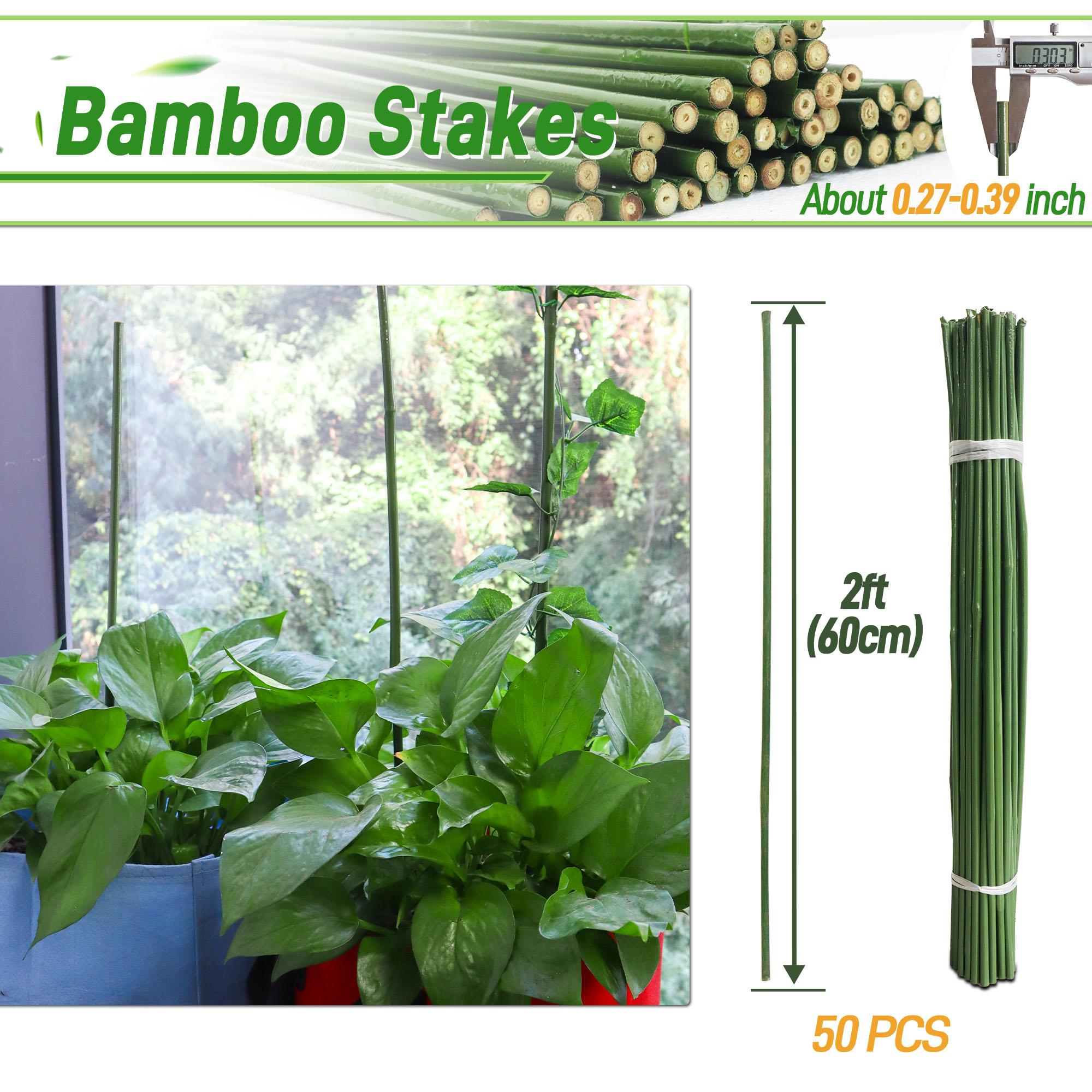 50pcs 2FT Bamboo Plant Stakes,Grden Plant Stakes For Indoor And Outdoor Climbing Plants United States
50pcs 2FT Bamboo Plant Stakes,Grden Plant Stakes For Indoor And Outdoor Climbing Plants United States