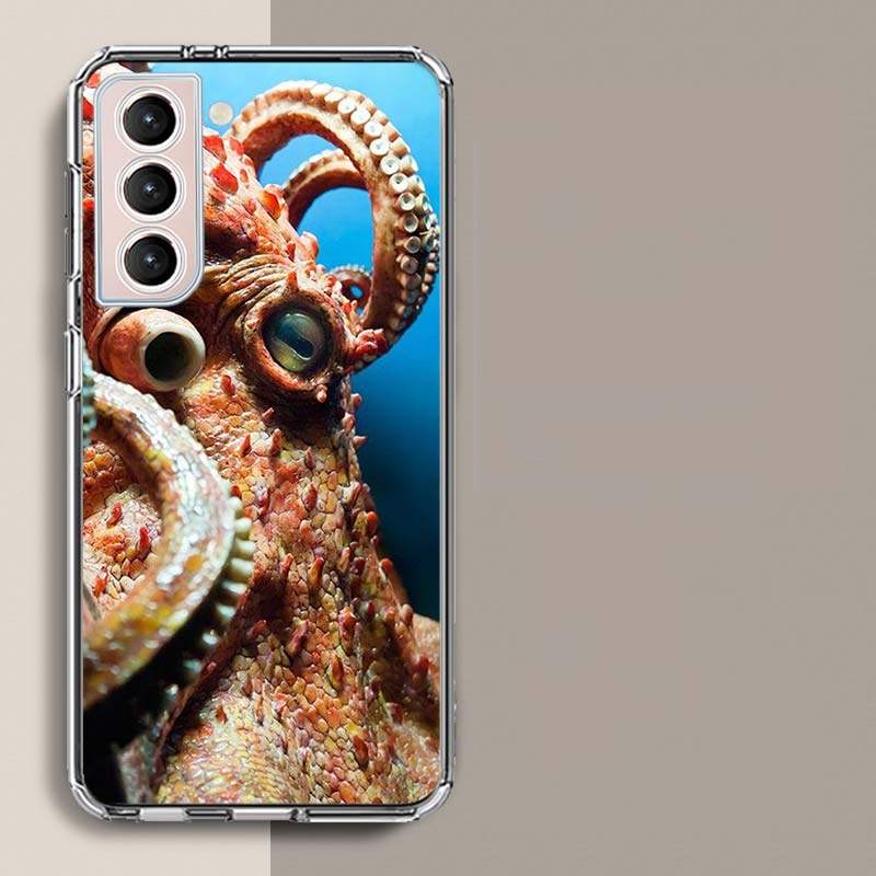 This is a Big Octopus Phone Case For Samsung A17 A56 A36 A26 A16 A55 A35 A25 A15 A05S Galaxy A71 A51 A41 A31 A21S A70 A50 A40 A3 Samsung A20(A30)
This is a Big Octopus Phone Case For Samsung A17 A56 A36 A26 A16 A55 A35 A25 A15 A05S Galaxy A71 A51 A41 A31 A21S A70 A50 A40 A3 Samsung A20(A30)