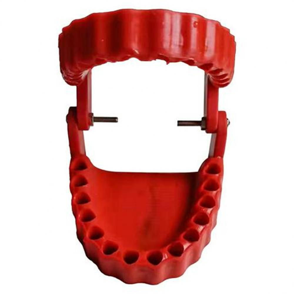 Держатель для зубного протеза, забавный, с 28 битами, пластиковый адаптер для домашнего декора, модель зубов, отвертка
Держатель для зубного протеза, забавный, с 28 битами, пластиковый адаптер для домашнего декора, модель зубов, отвертка