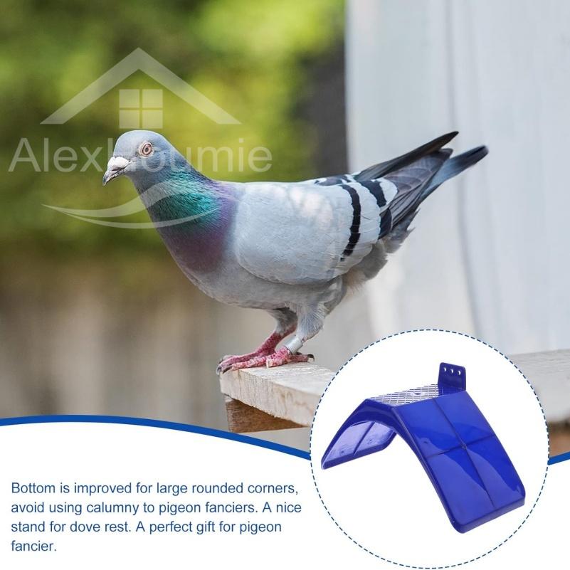 Pigeon Rest Stand 10pcs Plastic Pigeon Perch Dove Rest Stand Frame Dwelling Pigeon Perches Roost for Bird Supplies China Mainland
Pigeon Rest Stand 10pcs Plastic Pigeon Perch Dove Rest Stand Frame Dwelling Pigeon Perches Roost for Bird Supplies China Mainland