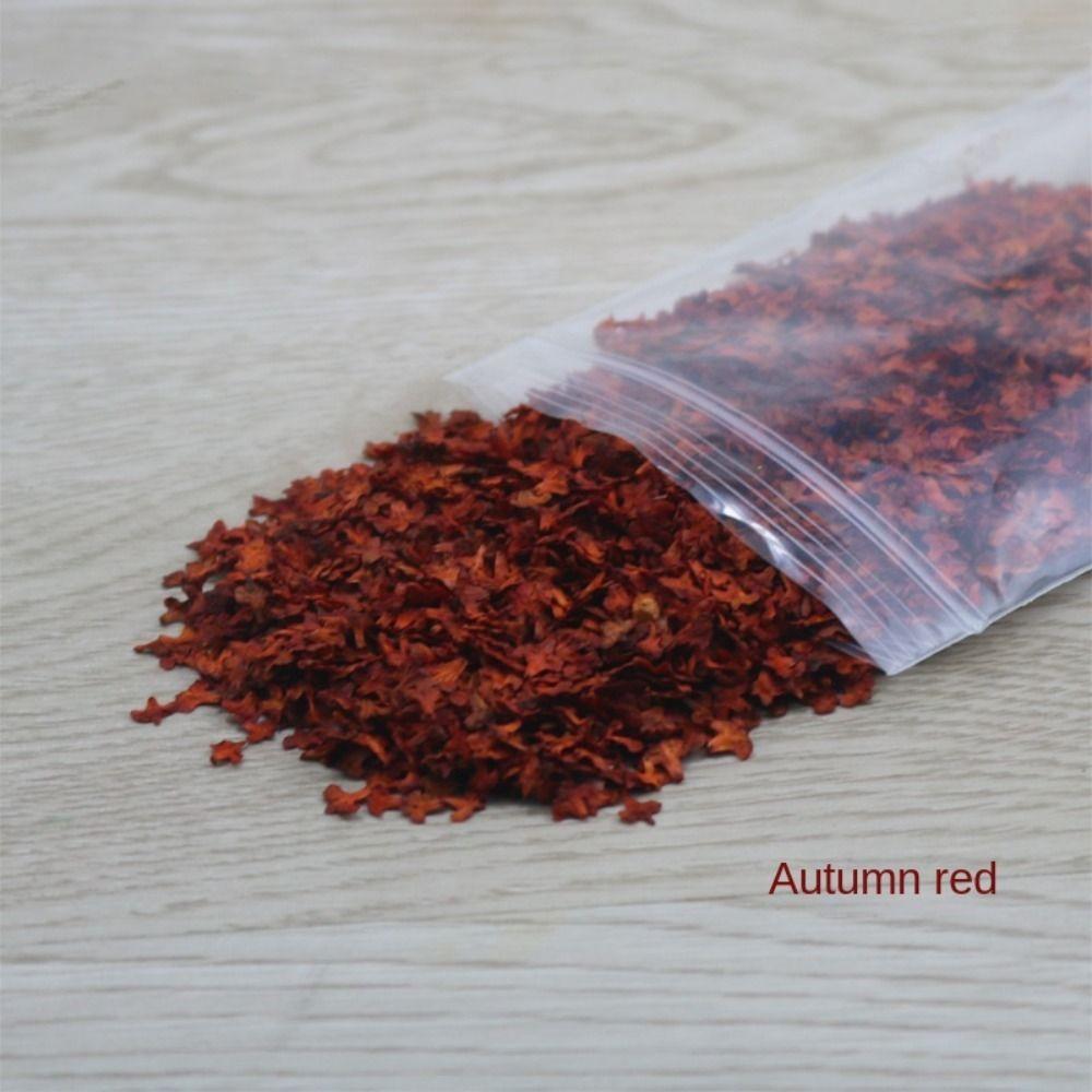 Новые DIY Микро Ландшафтные Листья Модель Деревянные Высококачественные Травяные Пучки Аксессуары Миниатюрный Лист Взрослый
Новые DIY Микро Ландшафтные Листья Модель Деревянные Высококачественные Травяные Пучки Аксессуары Миниатюрный Лист Взрослый