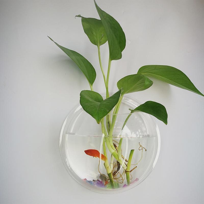Acrylic Fish Tank Wall Mounted Round Fish Bowl Aquarium Tank Aquatic Pet Supplies Fish Tank For Betta Fish and Hydroponic Plants (as the picture,15cm)
Acrylic Fish Tank Wall Mounted Round Fish Bowl Aquarium Tank Aquatic Pet Supplies Fish Tank For Betta Fish and Hydroponic Plants (as the picture,15cm)