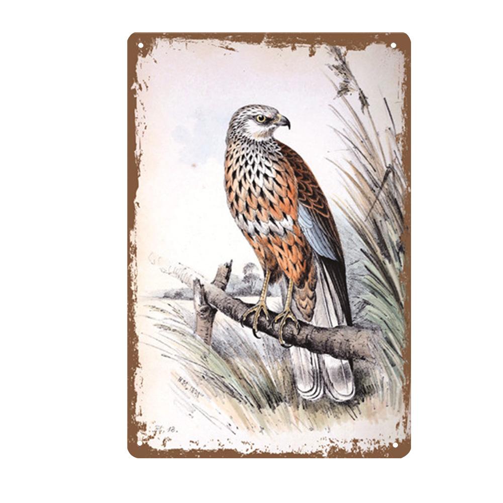 Винтажная металлическая оловянная вывеска, табличка, постеры с животными, ретро постеры с ястребом, железная живопись, металлические стены, искусство, домашний бар, гараж, декоративные тарелки 20x30cm
Винтажная металлическая оловянная вывеска, табличка, постеры с животными, ретро постеры с ястребом, железная живопись, металлические стены, искусство, домашний бар, гараж, декоративные тарелки 20x30cm
