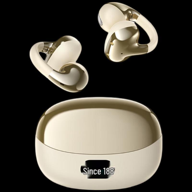 Sayrelances T12 Ear-Clip Bluetooth Earbuds
Sayrelances T12 Ear-Clip Bluetooth Earbuds