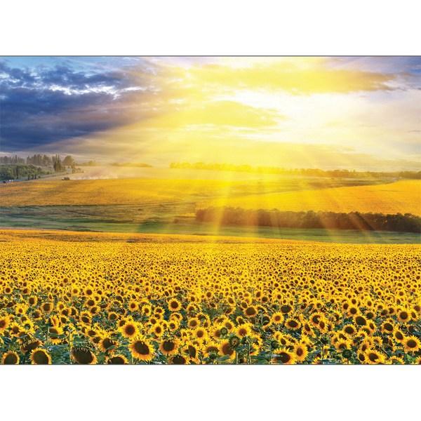 BN Puzzle Sunflower Field Sunset 805-44 Пазл, 500 деталей, пазл разных цветов, детские игры, развивающие игрушки
BN Puzzle Sunflower Field Sunset 805-44 Пазл, 500 деталей, пазл разных цветов, детские игры, развивающие игрушки