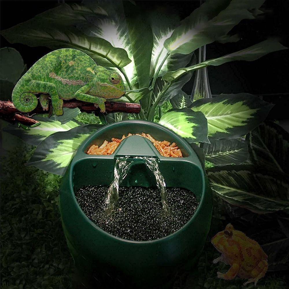 Double Layer Filtration Amphibian Drinking Fountain Plastic Lizard Water Dripper Creative Frog US Plug
Double Layer Filtration Amphibian Drinking Fountain Plastic Lizard Water Dripper Creative Frog US Plug