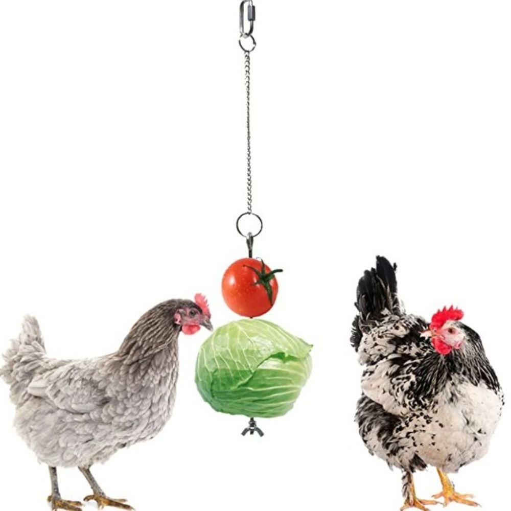 Stainless Steel Bird Cage Food Holder For Macaw Parakeet Parrot Budgie Fruit Fork Part-12cm срібний
Stainless Steel Bird Cage Food Holder For Macaw Parakeet Parrot Budgie Fruit Fork Part-12cm срібний