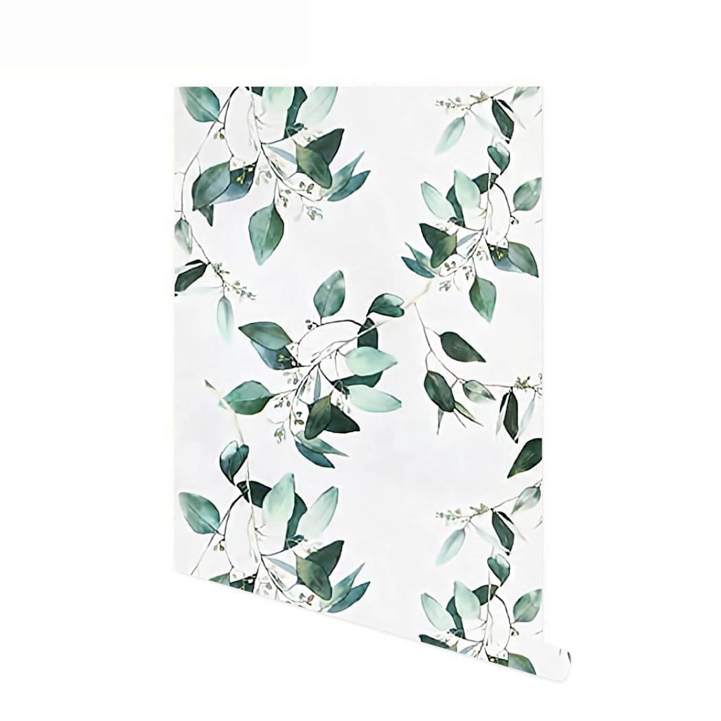 Зеленые обои самоклейка с растительным рисунком, обои с листьями эвкалипта, виниловая съемная контактная бумага для стен 1mx45cm
Зеленые обои самоклейка с растительным рисунком, обои с листьями эвкалипта, виниловая съемная контактная бумага для стен 1mx45cm