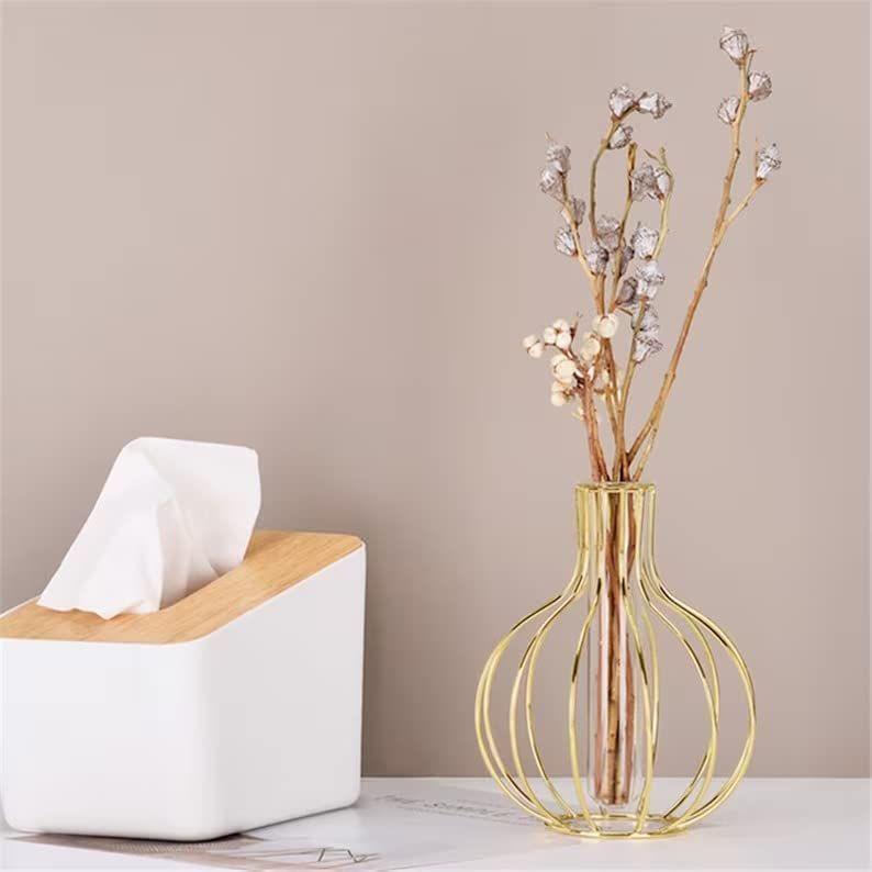 1 Pcs Metal Vase for Home Decor, Living Room, Bedroom, Office, Table Centerpiece | Propagation Station with Metal Frame Test Tube Glass Items
1 Pcs Metal Vase for Home Decor, Living Room, Bedroom, Office, Table Centerpiece | Propagation Station with Metal Frame Test Tube Glass Items