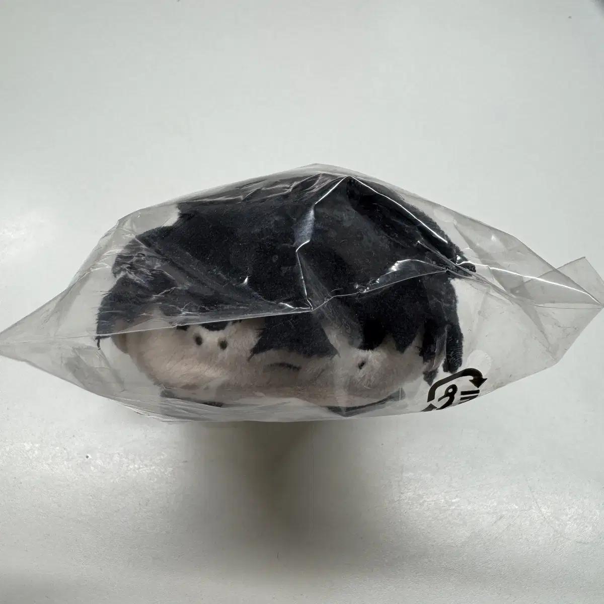 Сакамото Дэйс Себа Нацуки Цуму Силед 
Сакамото Дэйс Себа Нацуки Цуму Силед