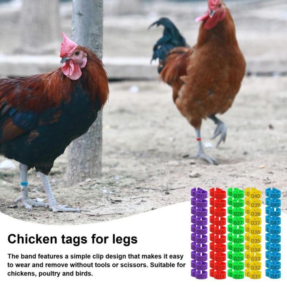 100pcs Plastic Poultry Ankle Bands Portable Bird Leg Sign Rings Band Foot Ring Poultry Accessories 16mm
100pcs Plastic Poultry Ankle Bands Portable Bird Leg Sign Rings Band Foot Ring Poultry Accessories 16mm