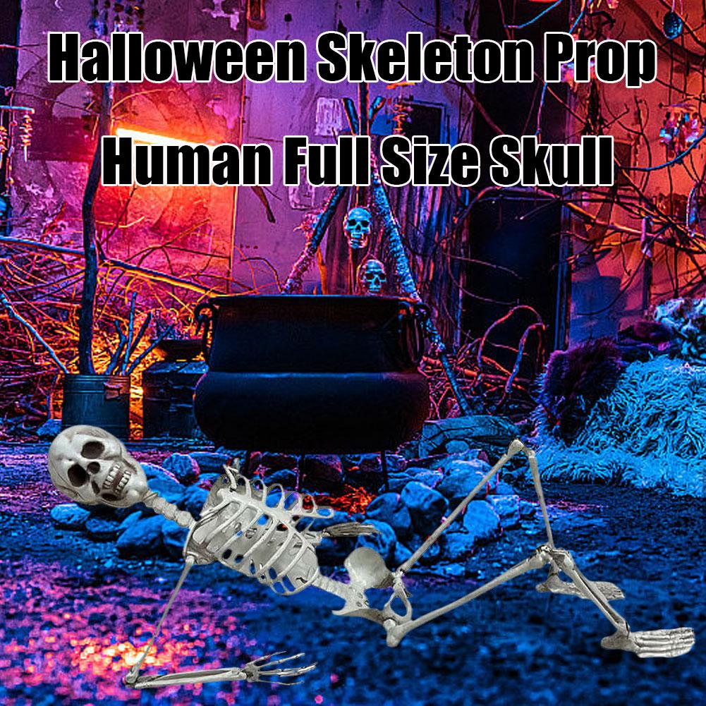 Halloween Party Decoration Full Size Fake Human Skull Skull Bones Ornament Movable Festival Skeleton Props Horror Ghost Pos Y5E5
Halloween Party Decoration Full Size Fake Human Skull Skull Bones Ornament Movable Festival Skeleton Props Horror Ghost Pos Y5E5