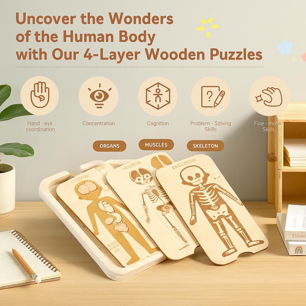 Human Structure Anatomy Organ Puzzle Organ Model Human Structure Toy Montessori Classroom Human Structure
Human Structure Anatomy Organ Puzzle Organ Model Human Structure Toy Montessori Classroom Human Structure