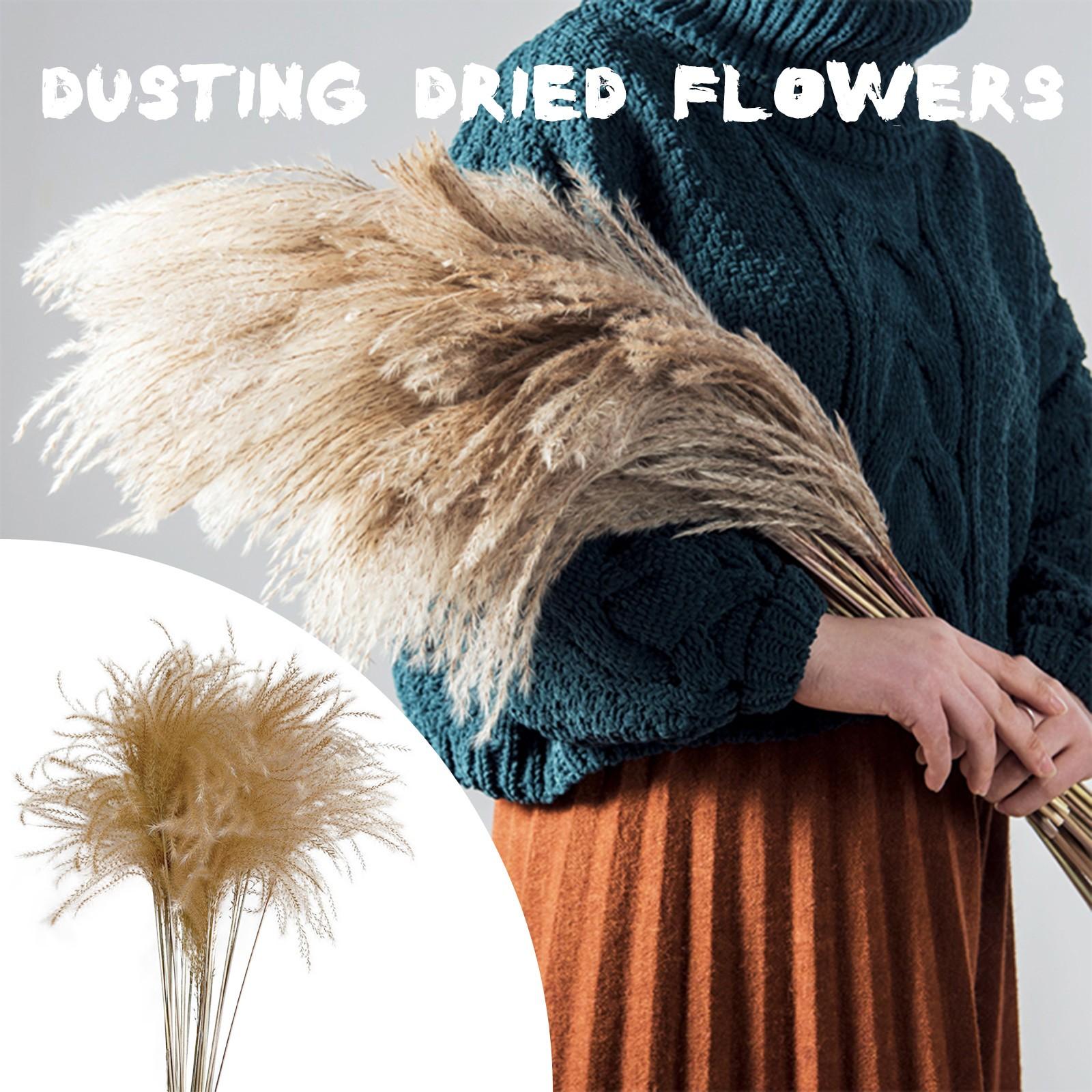 Лаконичный ветер Основной цвет Хвощ Хвощ Венчик Цветок Сухой цветок 30 штук разных размеров 
Лаконичный ветер Основной цвет Хвощ Хвощ Венчик Цветок Сухой цветок 30 штук разных размеров