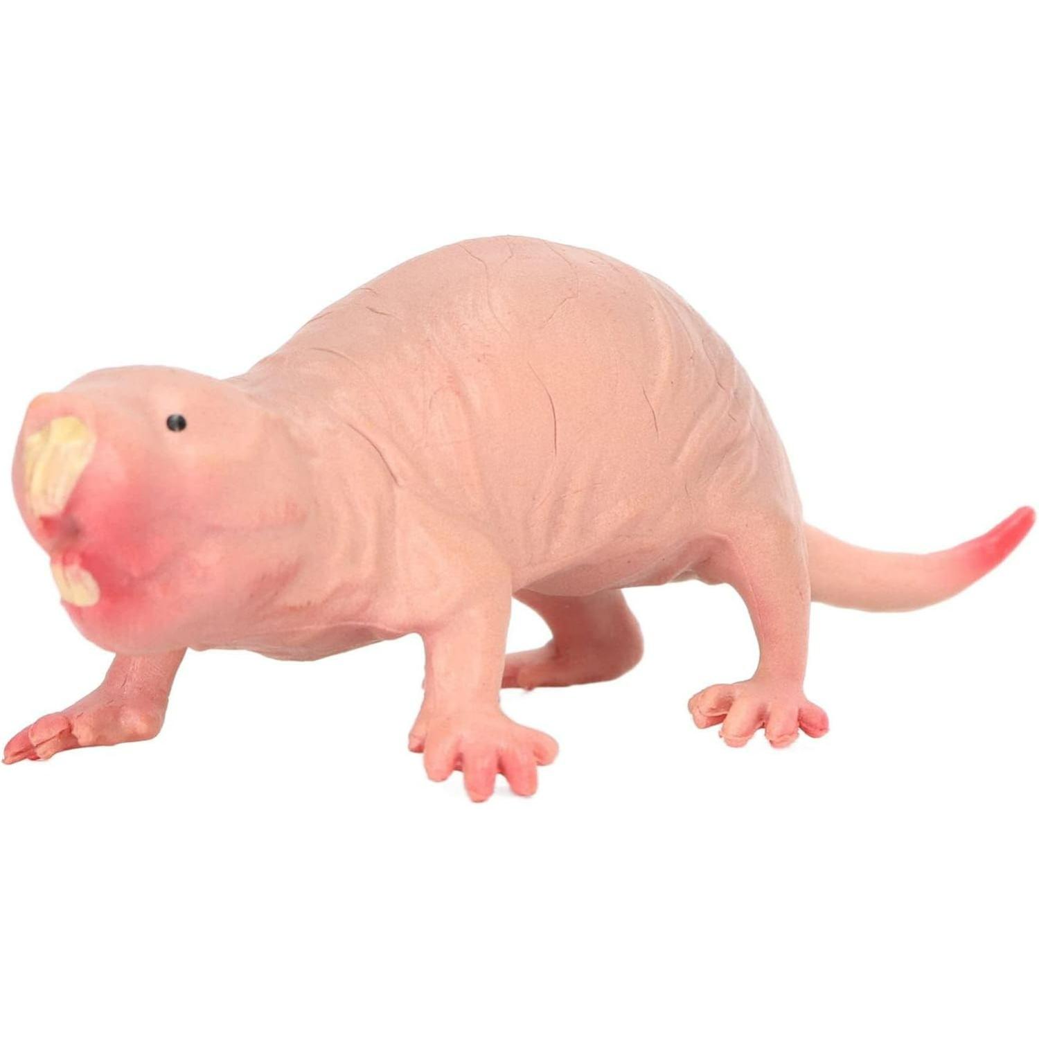 Mole Figurine Toy, Static Mole Model for Kids Sand Play, Animal Educational Toys & Home Decorative Ornament Z1
Mole Figurine Toy, Static Mole Model for Kids Sand Play, Animal Educational Toys & Home Decorative Ornament Z1