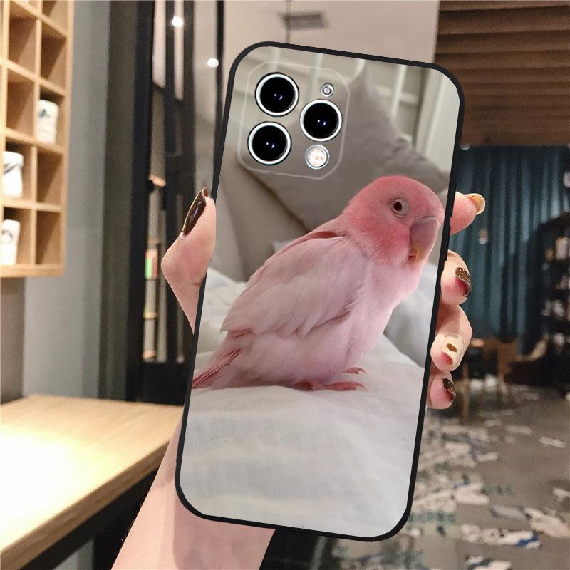 Phone Case Carcasa Funda For iPhone 17 Pro Max 17 Air 16 15 14 13 Pro Max 15 16 Pro 15Plus Bird Parrot iPhone 13ProMax
Phone Case Carcasa Funda For iPhone 17 Pro Max 17 Air 16 15 14 13 Pro Max 15 16 Pro 15Plus Bird Parrot iPhone 13ProMax