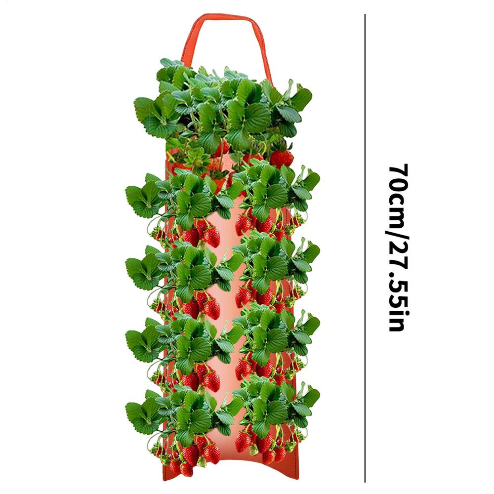 Tomato Planter Bag Floating Fabric Aeration Pouch With 8 Holes For Planting Gardening Bags For Tomatoes Roses Carrots Potatoes
Tomato Planter Bag Floating Fabric Aeration Pouch With 8 Holes For Planting Gardening Bags For Tomatoes Roses Carrots Potatoes