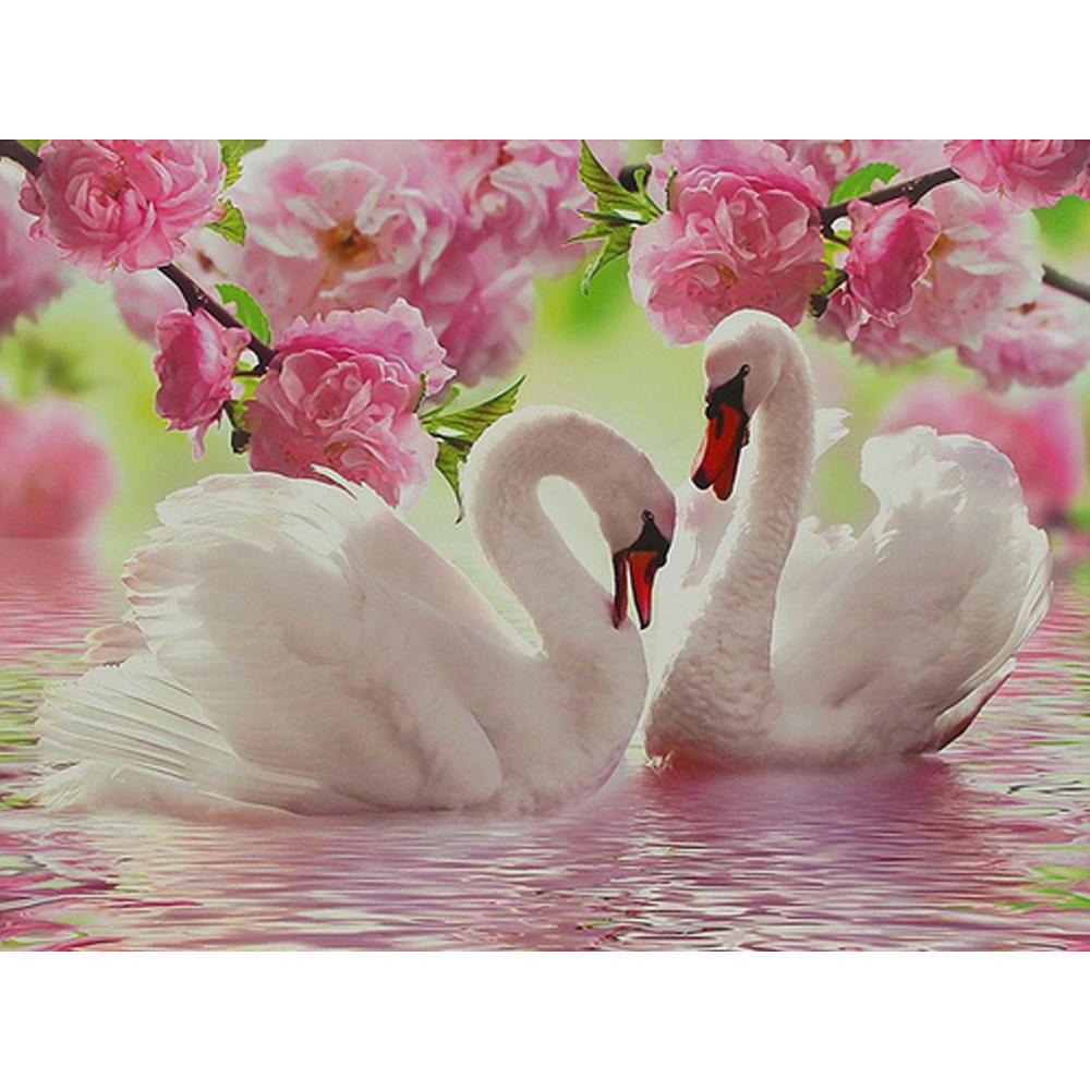 ZOOYA DIY 3D Алмазная картина Животное Лебедь Вышивка Крестом Ремесло Стежок Домашний декор
ZOOYA DIY 3D Алмазная картина Животное Лебедь Вышивка Крестом Ремесло Стежок Домашний декор