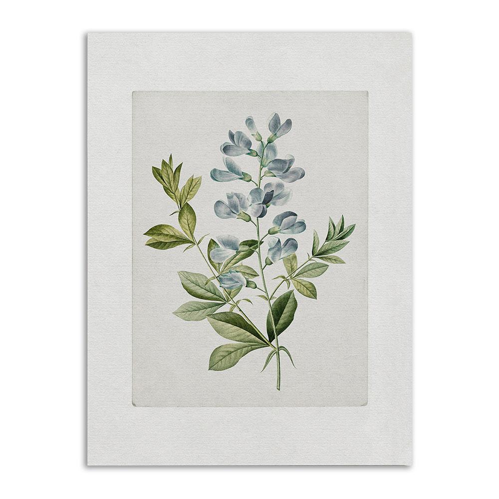 Ретро настенный художественный постер и принты, винтажный ботанический античный цветочный скандинавский холст, картина для гостиной, украшение дома, картина 40x50cm No Frame
Ретро настенный художественный постер и принты, винтажный ботанический античный цветочный скандинавский холст, картина для гостиной, украшение дома, картина 40x50cm No Frame