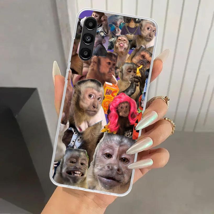 Monkey Memes Phone Case for Samsung Galaxy A17 A16 A37 A26 A36 A57 A56 A15 A25 A35 A55 A14 A24 A34 A54 A13 A23 A33 A53 Galaxy A1 Samsung A73
Monkey Memes Phone Case for Samsung Galaxy A17 A16 A37 A26 A36 A57 A56 A15 A25 A35 A55 A14 A24 A34 A54 A13 A23 A33 A53 Galaxy A1 Samsung A73