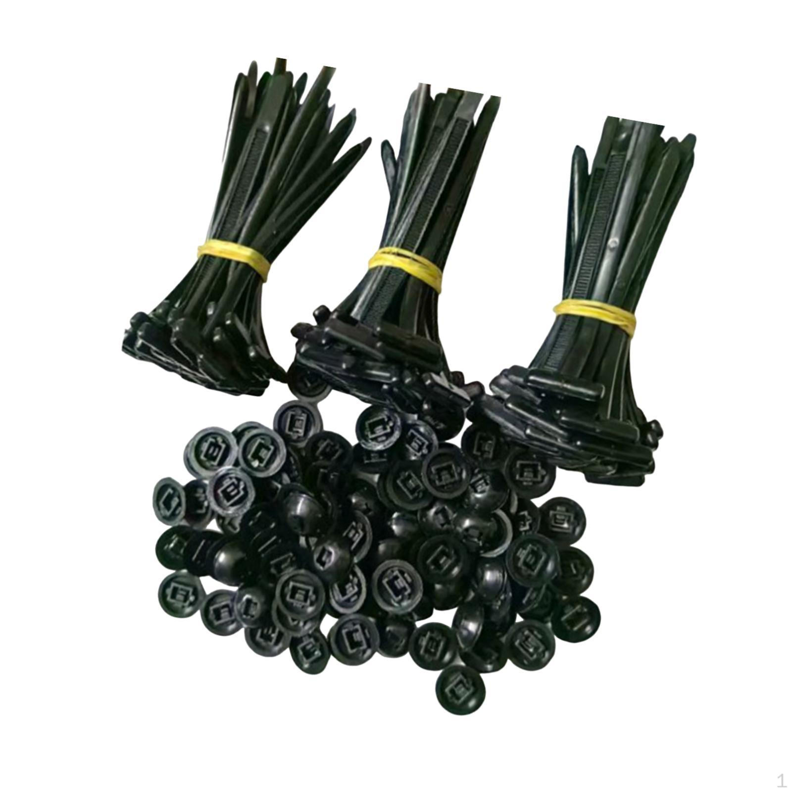 Cable Tie Clips for Vehicle and Boat Fastening 100PCS
Cable Tie Clips for Vehicle and Boat Fastening 100PCS