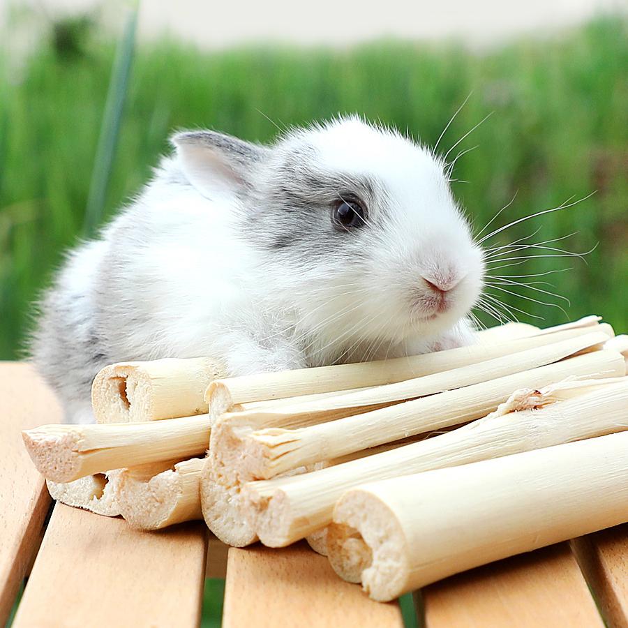 5Pcs Chew Bamboo Sticks for Rabbits, High Fiber Sweet Bamboo Chews Toys for Hamsters Guinea Pigs Chinchillas, Teeth Grinding Molar Treats бежевый
5Pcs Chew Bamboo Sticks for Rabbits, High Fiber Sweet Bamboo Chews Toys for Hamsters Guinea Pigs Chinchillas, Teeth Grinding Molar Treats бежевый