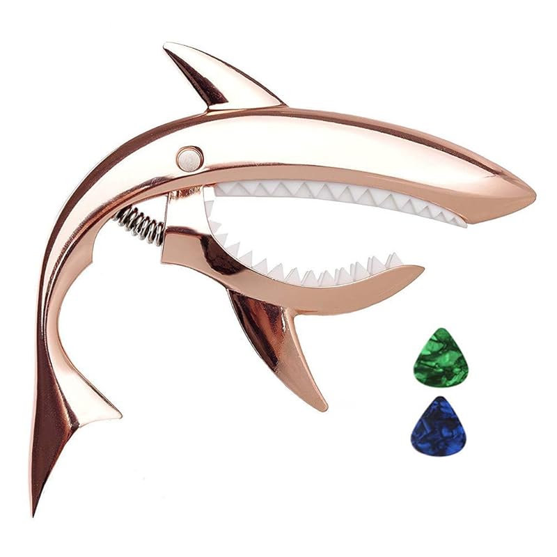 Гитарный каподастр Imelod из цинкового сплава Shark Capo для акустической и электрогитары, приятно держать в руке, безладовый и прочный (Розовое золото)
Гитарный каподастр Imelod из цинкового сплава Shark Capo для акустической и электрогитары, приятно держать в руке, безладовый и прочный (Розовое золото)